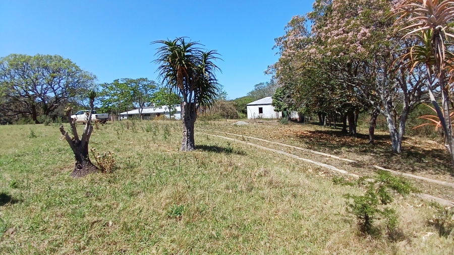 Commercial Property for Sale in Bathurst Rural Eastern Cape